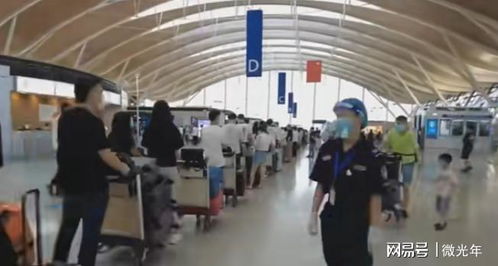 高額留學中介費引爭議 詆毀普通家庭還是市場現實？