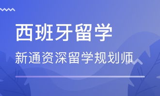 武漢西班牙留學(xué)中介 自費(fèi)出國(guó)留學(xué)中介服務(wù)全指南
